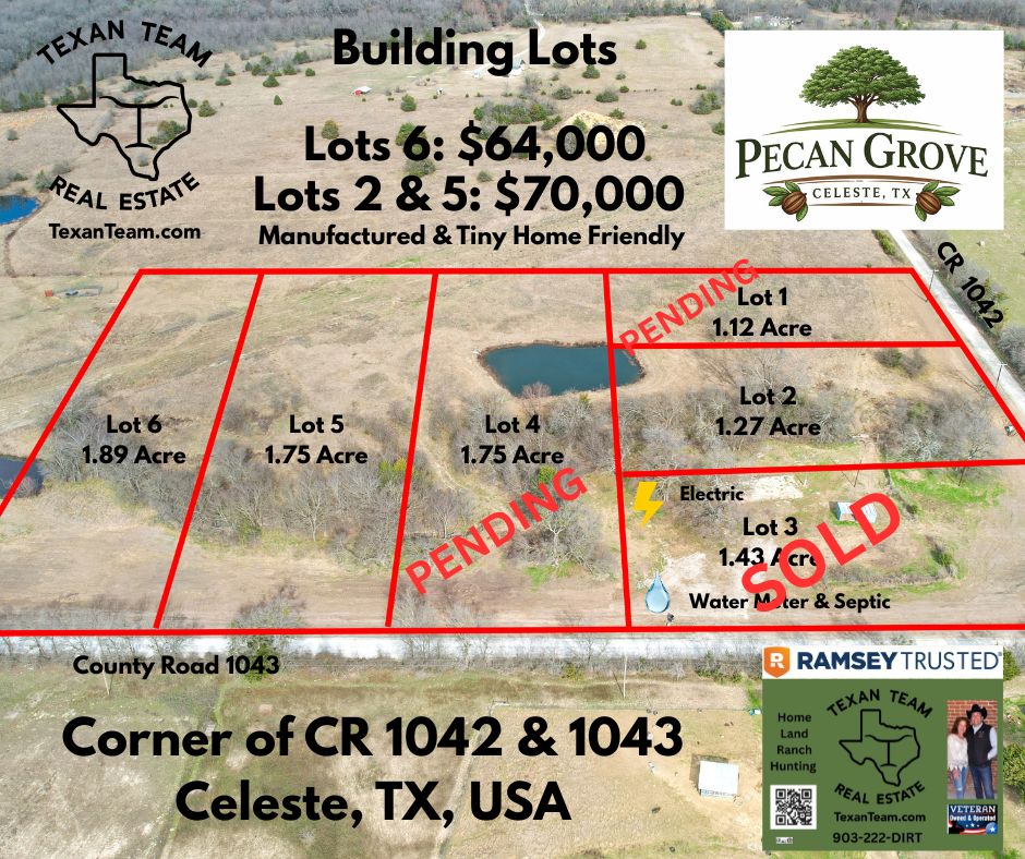 New Pecan Grove